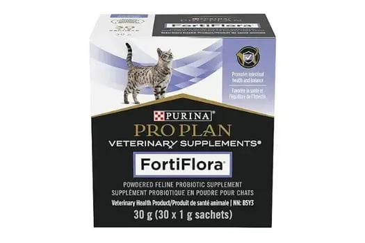 Cat Probiotics A Comprehensive Guide to Better Feline Digestion